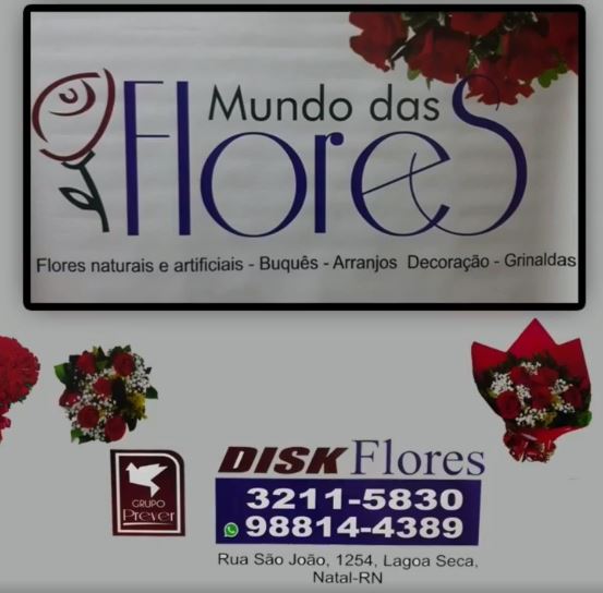 Mundo das Flores